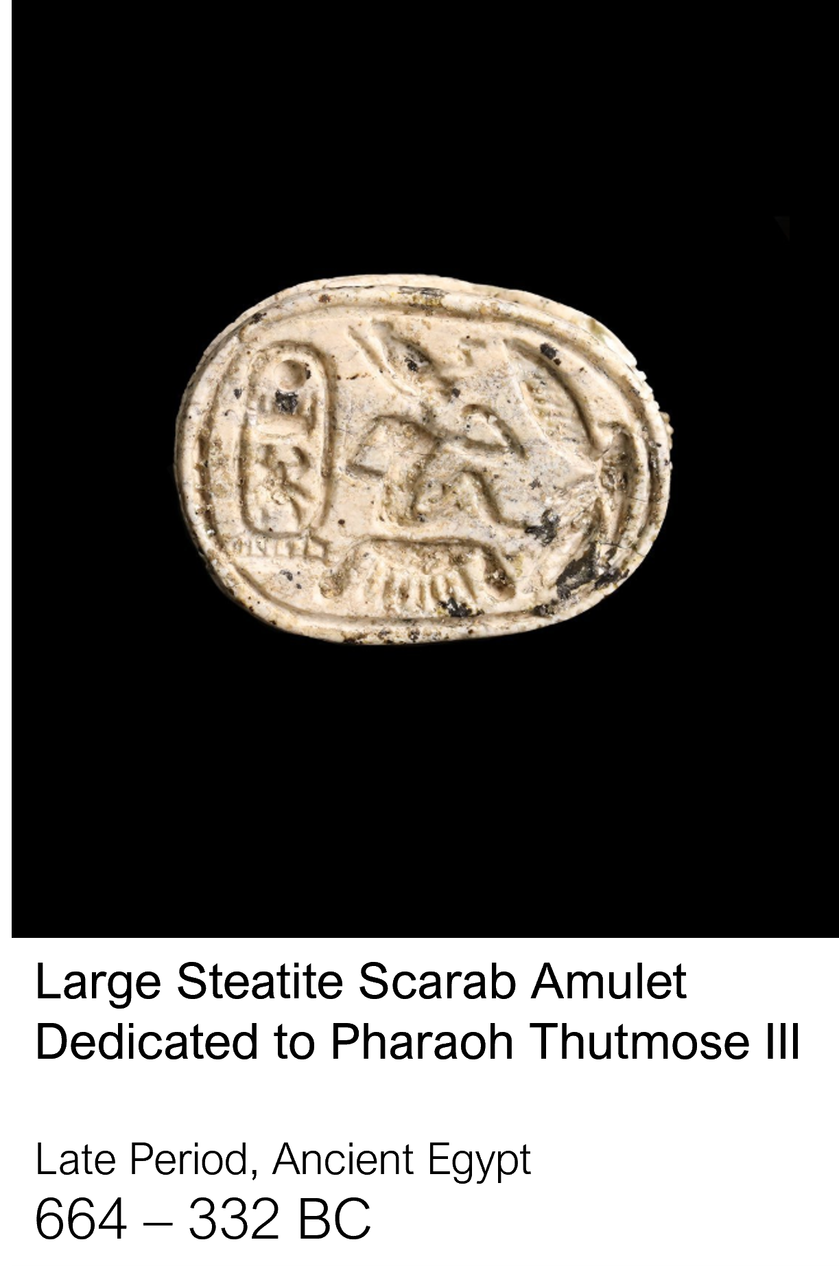 HH - Caro - Scarab 2