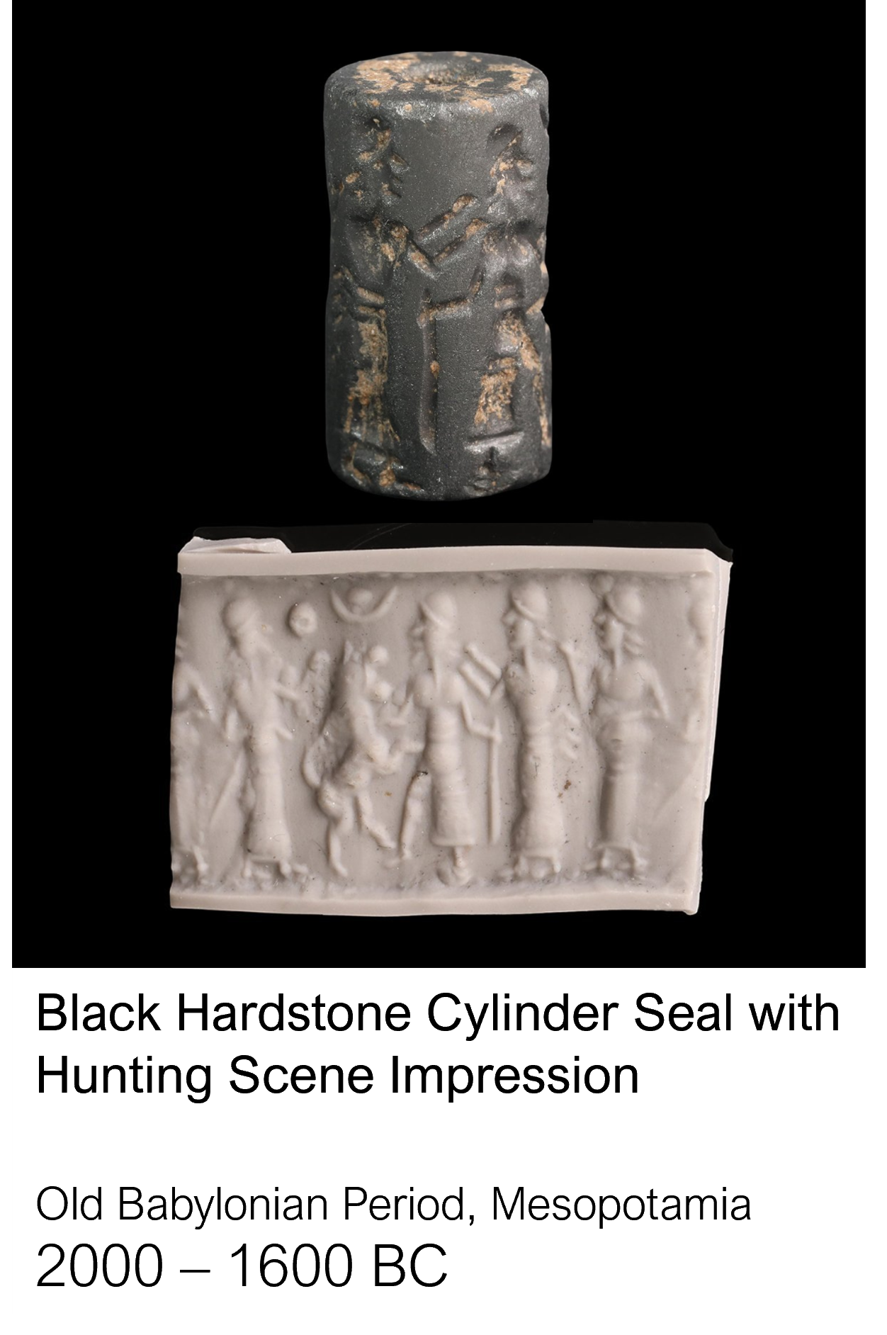 HH - Caro - Seal